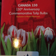 Illustration for article titled Canada 150 tulip bulbs are in